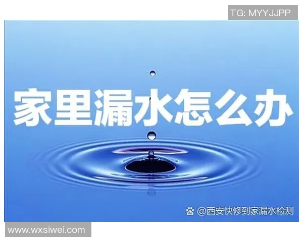水管阀门的选择与维护技巧及常见问题解决方案解析 水管阀门的选择与维护技巧及常见问题解决方案解析